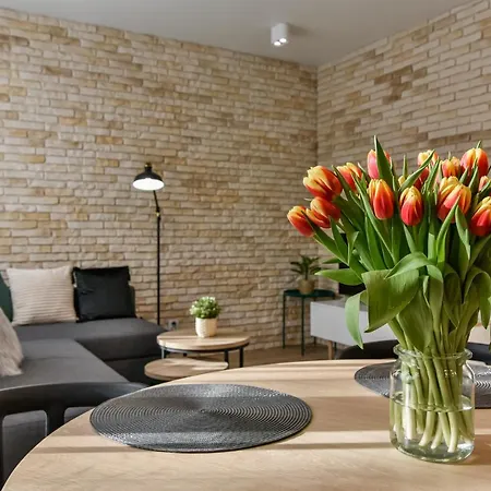 Old Town Ltc - Starówka Tobiasza Apartamento Gdańsk